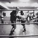 Boxing16